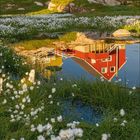 Kalenderblatt mit Monat "g" und Jahr "2027". Bild: Zwei farbige Häuser, Wiese, Wasserreflexion, Baumwollgras.