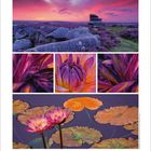 9月 1 2 3 4 5 6 7 8 9 10 11 12 13 14 15 16 17 18 19 20 21 22 23 24 25 26 27 28 29 30 Größe: L

Bilder: Landschaft mit Felsen, Blüten im Nahbereich, Seerosen auf Wasser.