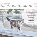 JULI/AUGUST 2027, KW 30, 26-31. Zitat: "Es gibt wenig so wache und selbstbewusste Geschöpfe wie Katzen." Katze im Freien.