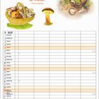 „Der Pilz ist der Parvenü der Pflanzen.“ – Christian Morgenstern. Kalenderblatt für September 2027 mit Pilz-Illustrationen.