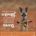Text: "ICH BIN NICHT VERWIRRT, ICH SORTIERE NUR MEINE GEDANKEN ANDERS." Ein Känguru steht mit verschränkten Armen da.