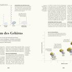 Wachstum des Gehirns. Links: Diagramm zur Neuronenanzahl von Tieren. Rechts: Diagramm zur relativen Gehirngröße mit Schädelillustrationen.