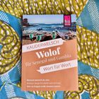 Reiseführer "Kauderwelsch Wolof für Senegal und Gambia: Wort für Wort". Cover zeigt Boote am Strand.