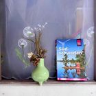 "Südschweden" steht auf einem Reiseführer. Daneben ein grünes Miniväschen mit getrockneten Blumen.