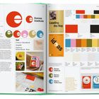 Eames Institute. Verschiedene bunte Logos mit Buchstaben "e". Farbpaletten. Schriftarten: Century Schoolbook, Graphik.