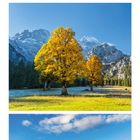 05 SO 19. Drei herbstliche Landschaftsbilder mit goldgelben Bäumen vor Bergen. Unten Kalenderblatt für September.