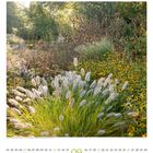 09. Garten mit Lampenputzergras, Rudbeckien, Gelb, Braun. Grüne Umgebung. Datum unten: Beginn September 01 bis 30.