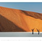 Text: September, Tage 1-30 aufgelistet.  
Sicht auf Dünen, hellbrauner Sand, zwei kahle Bäume im Vordergrund.