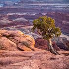 Kalenderseite September mit Canyon-Landschaft, Baum und Fluss. Texte: "Blick über den Colorado River im Dead Horse Point State Park."
