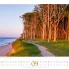 09, Gespensterwald in Nienhagen an der Ostsee. Kalender mit Küste, Bäumen im Sonnenuntergang.