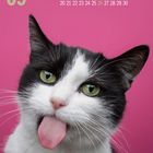 09 und Kalendertage oben. Schwarz-weiße Katze streckt Zunge heraus, vor pinkem Hintergrund.