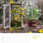 05. Woche, Februar 2027. Winterling im Mini-Gewächshaus, Schneeglöckchen im Topf. Ein rustikales Arrangement aus Blumen.