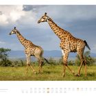 09, Kalender, September 2021. Zwei Giraffen gehen auf einer grünen Wiese vor bewölktem Himmel in einer Savannenlandschaft.