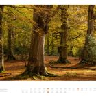 09. Waldszene im Herbst mit großen Bäumen und buntem Laub. Kalenderseite mit Datumsangaben im September.
