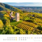 09. Weinberg in Gattinara - Piemont. Alte Burg, Kirche, Weinreben, grüne Hügel, ferner Horizont.