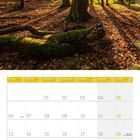 Kalendermonat September 2027 mit Waldfoto oben. Licht durchflutet bunte Herbstbäume, moosbedeckter Baumstamm im Vordergrund.