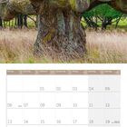 Kalenderseite für September 2027. Oben eine alte Eiche im Jægersborg Dyrehave, Kopenhagen, Dänemark.