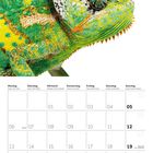 Kalenderseite für September 2027 mit Wochentagen. Bild: Nahaufnahme eines farbigen Chamäleons.