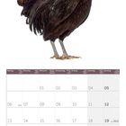 Kalenderseite für den September 2027, und ein Porträt eines bärtigen Haubenhahns.