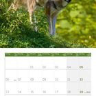 Unter den Monatsnamen steht "Waldfesttag" am 20., "Herbstanfang" am 23. Zwei Wölfe im grünen Wald. Unten "09 2027".