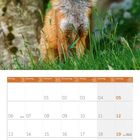 Kalender für September 2027, darunter ein sitzender Fuchs auf einer Wiese vor einem Baum.