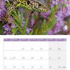 September 2027 Kalender. Eidechse in lila Blumen. Wochentage: Montag bis Sonntag, Zahlen darunter.