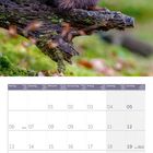 Kalender für September 2027. Ein Eichhörnchen sitzt auf einem Ast, umgeben von einer grünen Waldlandschaft.