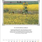 "September. Der Hundertjährige prophezeit: Anfang des Monats heiß, dann Regen, Sonne, leichter Regen. Bild: Gelbes Blumenfeld."
