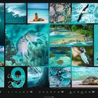 "Colours of Nature 2027." Kalender mit Tier- und Landschaftsfotos, darunter Meerestiere, Vögel und Wasserfälle.