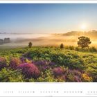 "Heidelandschaft, New Forest Nationalpark, Hampshire, England" und darunter 9 und die Zahlen 1 bis 30. Sonnenaufgang, Nebel.