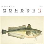 Kalenderwoche im Juli mit Daten vom 12. bis 18. Eine Illustration eines Fisches namens Südlicher Bastarddorsch.