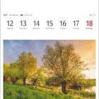 Kalenderdaten vom 12. bis 18. Juli. Silberweiden im Biosphärenreservat Niedersächsische Elbtalaue.