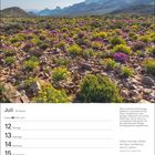 Juli-Kalender, 28. Woche. Text über Karoo-Südafrika: Blütenmeer durch Sukkulenten nach Winterregen. Landschaft mit Blumen.
