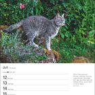Kalenderseite vom Juli. Tage 12 bis 18. Zitat von Mark Twain über Tiere. Graue Katze im Garten mit rosa Blumen.