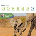 Kalenderwoche 47, Tage: 22-28 Nov. "WAS IST WAS Afrikanischer Elefant". Zwei Elefanten, ein Junges und ein Erwachsener.