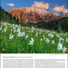 FRÜHLING AM GRIMMING (Dachstein, Steiermark, Österreich). Kalender: April - Mai 2027. Berglandschaft mit weißen Blumenfeld.