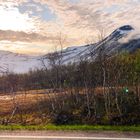 Verschneite Berglandschaft bei Sonnenuntergang mit kargen Bäumen und einer Straße im Vordergrund.