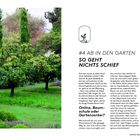 #4 AB IN DEN GARTEN: Tipps für den Kauf von Gehölzen. Online, Baumschule oder Gartencenter? Links Bild eines grünen Gartens.