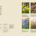 "Die Pflanzen: Stauden, Bäume und Sträucher." Links Text zur Pflanzenwahl, rechts Bilder mit Blumen und kurzen Beschreibungen.