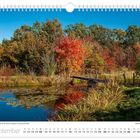 „Der Herbst taucht den Neuen Forstgarten in leuchtende Farben. September 2023.“ Eine bunte Herbstlandschaft mit Teich.