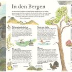 "In den Bergen" beschreibt Berglandschaften, Bergwetter, Pflanzen und Tiere in einer detaillierten Illustration.