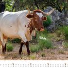 "Hilde" in weißer Schrift, ein Kalender für September, eine Kuh mit großen Hörnern in einer Waldlandschaft.