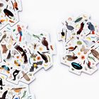 Eine detailreiche Illustration mit bunten Vögeln, Insekten und Pflanzen auf sechseckigen Puzzleteilen.