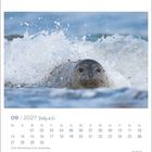 Kalenderseite, September 2027, Robby & Co. Abbildung: Robbe in Wellen im Meer. Logo "EILAND" unten rechts.