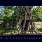 06 Juni. Kalenderbild mit einer alten Steintempelruine, überwuchert von riesigen Baumwurzeln im dichten Dschungel.