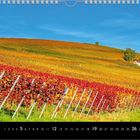 "9", unten Kalenderzahlen 1-30. Herbstliche Weinberge in Rot, Orange und Gelb mit blauem Himmel und kleinem Haus.