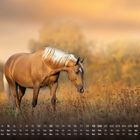 Kalenderdatum mit Wochentagen unten, ein Pferd steht auf einer Wiese, der Hintergrund zeigt herbstliche Bäume.