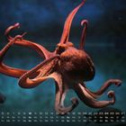 Kalendergrafik mit Tagen und Wochenenden im Oktober. Ein Oktopus schwebt vor blauem Hintergrund.