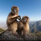 1 2 3 4 5 6 7 8 9 10 11 12 13 14 15 16 17 18 19 20 21 22 23.

Zwei Affen sitzen auf einem Felsen mit einer Berglandschaft im Hintergrund.