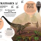 "Jagdstrategien", "Der Dinosaurier ist ein Einzelgänger". Illustrationen von Dinosauriern in einer prähistorischen Landschaft.